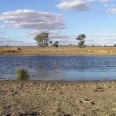 petite_australie1.jpg