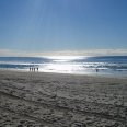 petite_australie17.jpg