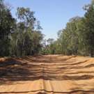 petite_australie26.jpg
