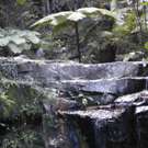 petite_australie39.jpg