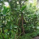 petite_australie40.jpg