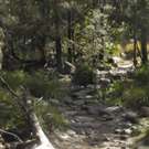 petite_australie41.jpg