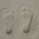 petite_australie44.jpg