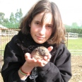 petite_ferme17.jpg