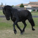 petite_ferme3.jpg