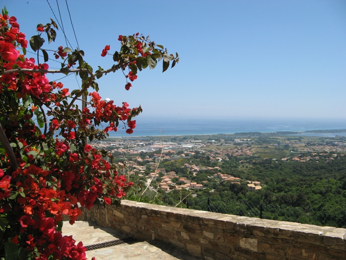 corse1.jpg