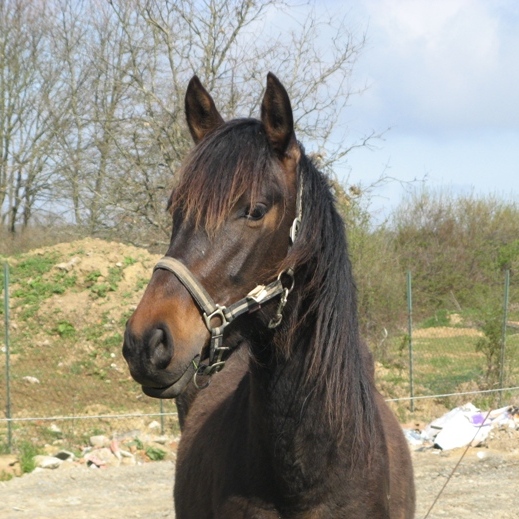 ferme19.jpg