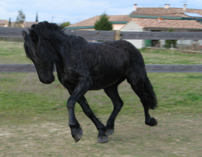 ferme3.jpg